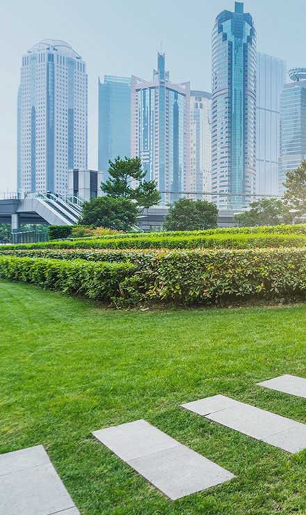 Contact Green FX Landscaping for Commercial Landscaping Services