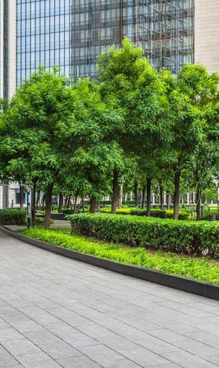 Green FX Landscaping Commercial Grounds Maintenance