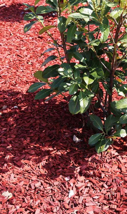 Green FX Landscaping Commercial Mulching